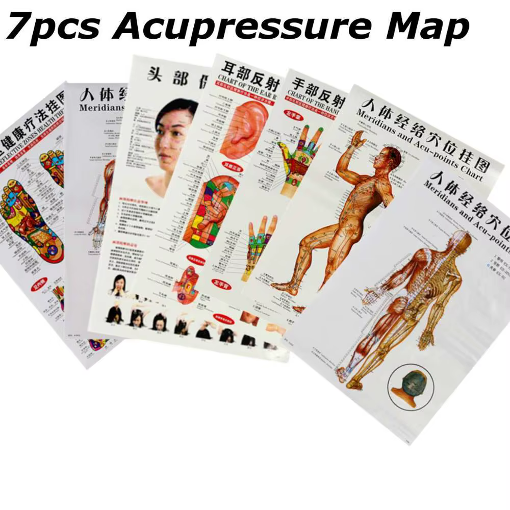 7 feuilles anglais/chinois méridien Points de tableau mural humain femme/homme Acupuncture Point de