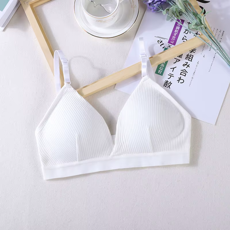 Soutien-gorge de sport en fibre élastique pour femme, sous-vêtement respirant, haut court mince, san
