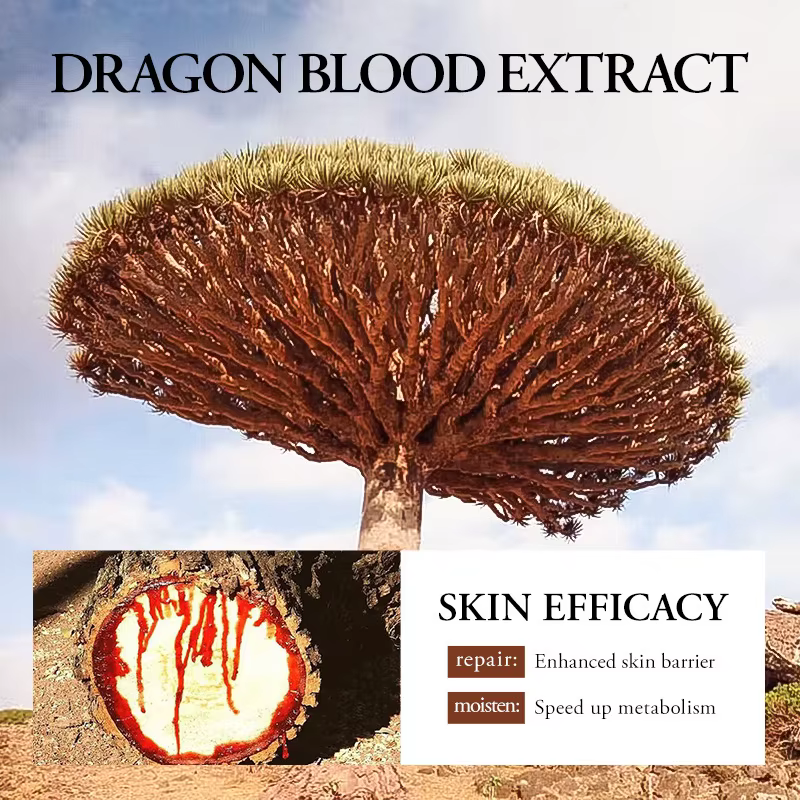 SADOER Ganoderma lucidum sang de Dragon sérum pour le visage Lotion hydratante émulsion pour le visage huile contrôle rafraîchissant Essence pour le visage