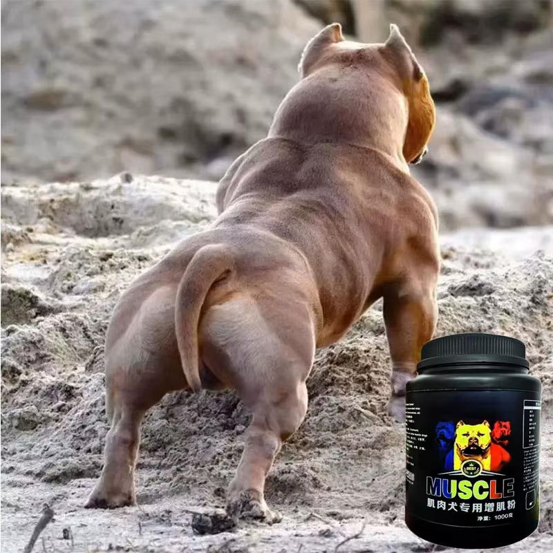 Poudre de protéines de lactosérum Bulldog Muscle Builder 1 kg Bully-pitbull, augmente l'endurance, nutrition pour animaux de compagnie, pour chiots et chiens adultes