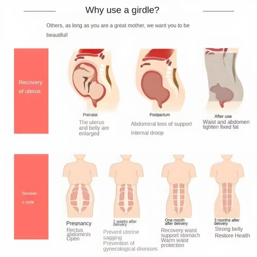 Ceinture abdominale post-partum pour récupération du corps