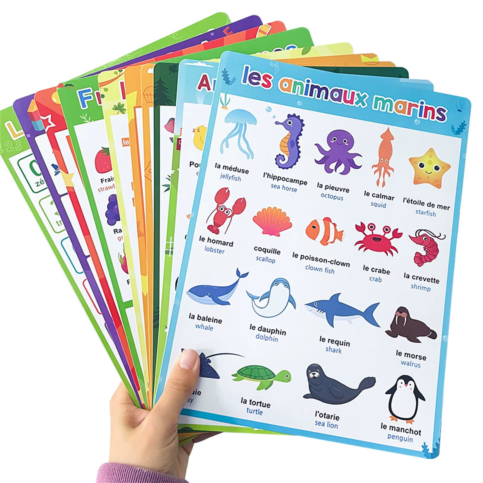 Affiche d'apprentissage du français avec animaux, lettres, fruits, mots, outil d'éducation précoce pour la maison et l'école