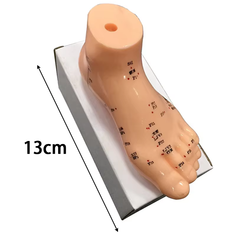 Modèle d'acupuncture du corps humain-anatomie complète du corps en PVC avec 361 points d'acupuncture étiquetés en anglais, outils pédagogiques TCM pour acupuncturistes/S