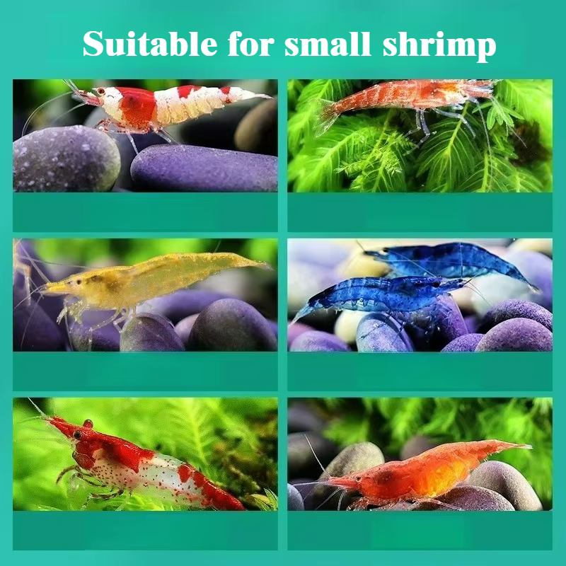 Grottes cachette d'aquarium, abri pour poissons et crevettes, trous d'élevage pour copeaux, décor d'aquarium, fournitures aquatiques pour animaux de compagnie