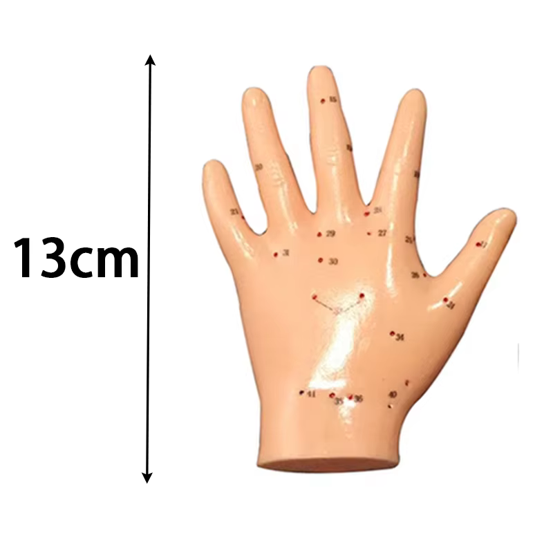Modèle d'acupuncture du corps humain-anatomie complète du corps en PVC avec 361 points d'acupuncture étiquetés en anglais, outils pédagogiques TCM pour acupuncturistes/S