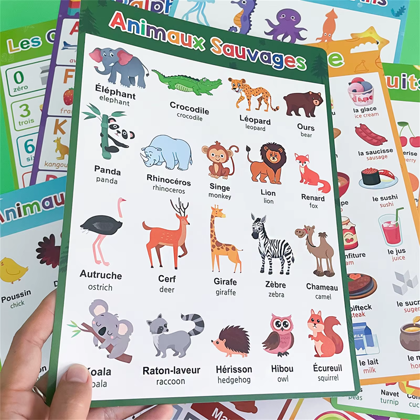 Affiche d'apprentissage du français avec animaux, lettres, fruits, mots, outil d'éducation précoce pour la maison et l'école