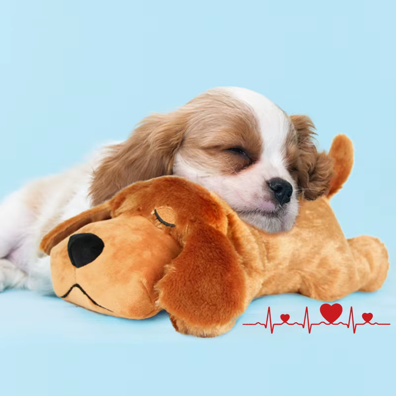 Jouets apaisants pour animaux de compagnie, jouets en peluche à battement de cœur simulé pour soulager l'anxiété et favoriser le sommeil des chiens – Le cadeau idéal pour votre ami à fourrure !