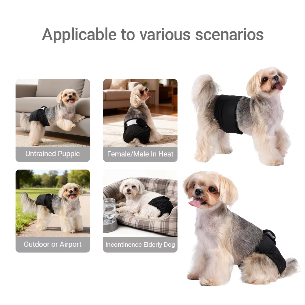 Couches lavables pour animaux de compagnie pour femmes et hommes, culottes hygiéniques respirantes et réutilisables pour chiots, sous-vêtements pour Chihuahua, pantalon court pour Menstruation